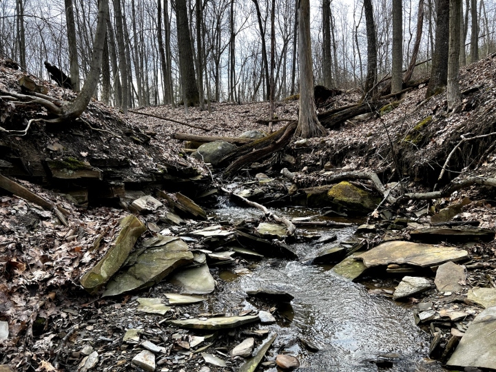 Herp habitat